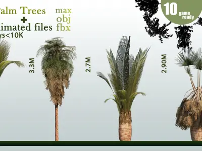 10 Palm Trees VOL 04 And Animated Files Low-poly 3D model