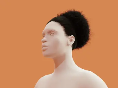 Pony Puff Black Hair 3D model