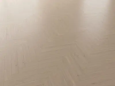  Parquet Oak Tundra Brushed set 2 3D model