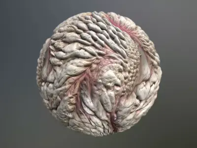 Material Skin Monster 43 Seamless PBR Texture Texture