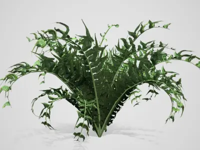 Western Sword Fern bush Low-poly 3D model