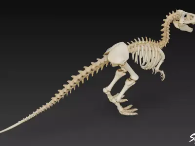 Velociraptor fossil Low-poly 3D model