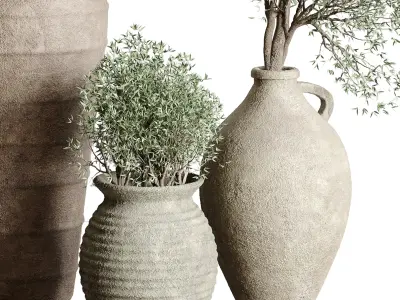 Olive tree in an old earthenware vase indoor collection 3D model