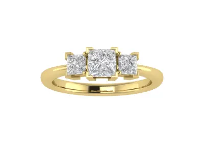 Women Ring  Render 3dm STL OBJ FBX TXT Details 3D print model get