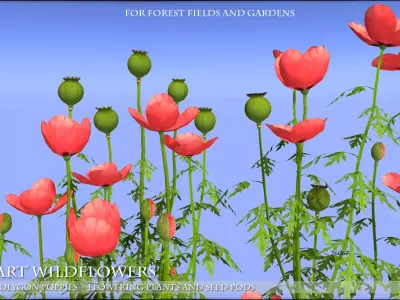 Low Polygon Poppies for Games and Architectural Visualisation Low-poly 3D model