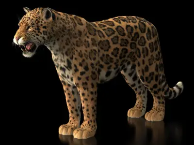  JAGUAR ANIMATED XGEN-CORE(1) 