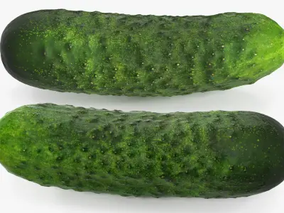  Vegetables Collection 