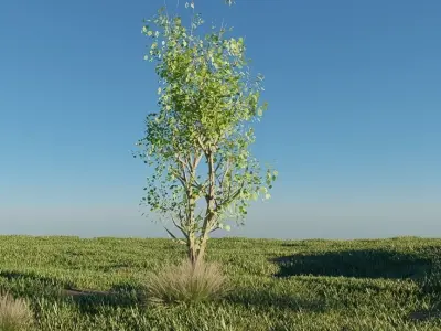 MOUNTAIN HOUSE WITH REALISTIC GRASS Low-poly 3D model