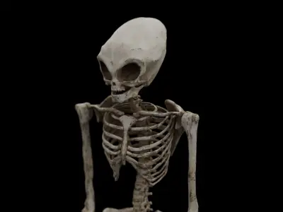 Humanoid Alien Skeleton  Low-poly 3D model