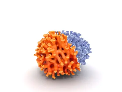 Golden Yellow Sun Coral Model Low-poly 3D model