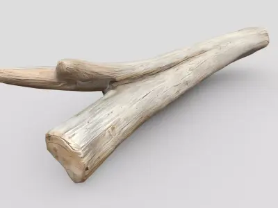 Dead Wood 4 Low-poly 3D model