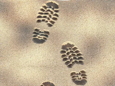 Shoeprints On The Sand 3D model