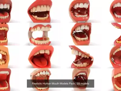 Realistic Human Mouth Models Pack