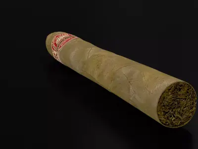 Cigar Low-poly 3D model