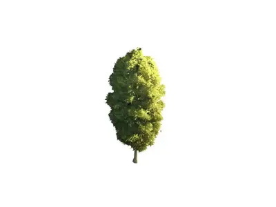 Low Poly Tree Stylish Low-poly 3D model