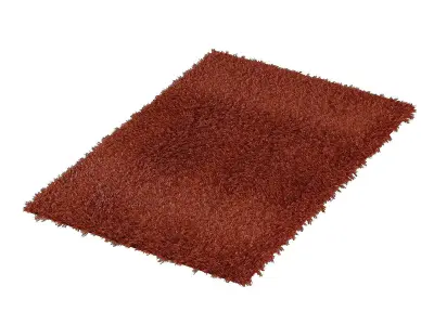 Carpets shag rug 3D model