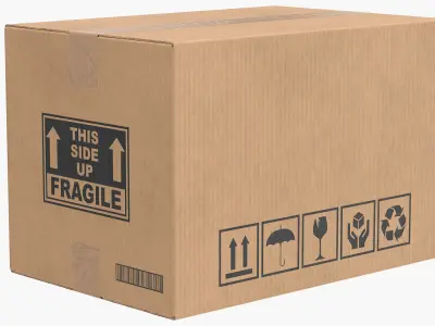  Cardboard Box Closed V1 Collection 