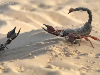  Realistic Scorpion Strikes Fur Animated Rigged 