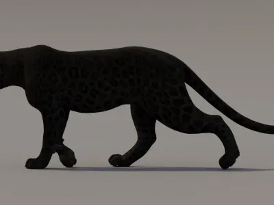  Animated Black Panther 3D Model 