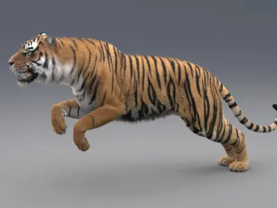  Tiger Animated (Fur) 