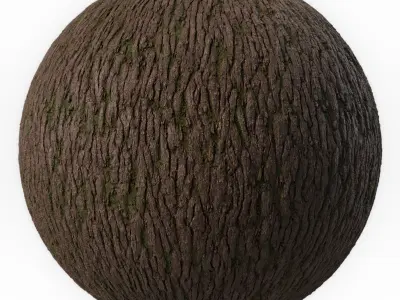 Bark  Materials 02- Seamless PBR 4k Texture