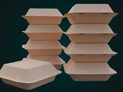 Cardboard Disposable - Food Container 3D model