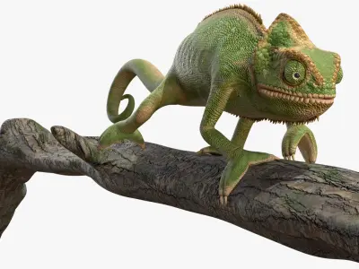  Walking Chamelion Animated Rigged for Blender 