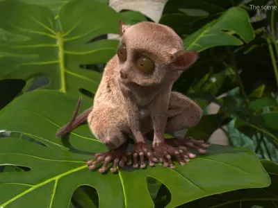  Tarsier Fur Rigged 