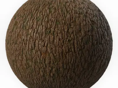 Bark Materials 03- Seamless PBR 4k Texture