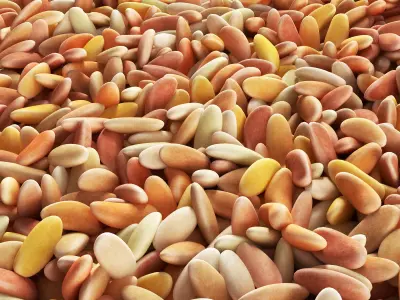 Pebble oval low n4 3D model