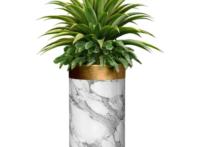 Decorative tropical Agave plant in a modern tall marble vase 3D model