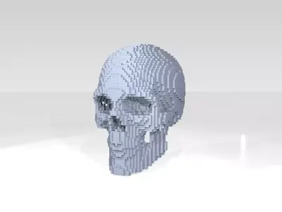Skull Voxel 3D model