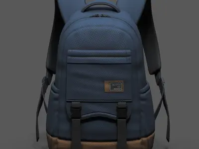 Backpack bag baggage Color  Low-poly 3D model