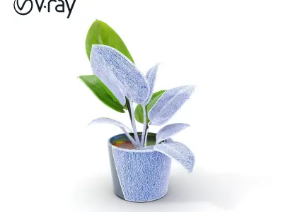 Potted Plant D Model Pack with Realistic Textures Low-poly 3D model