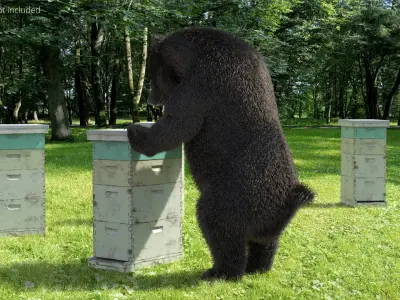  Dark Brown Bear Raiding Beehive Fur 