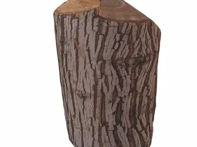 trunk 100 3D model
