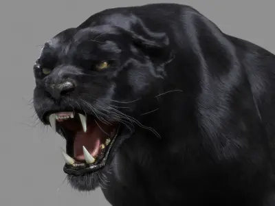Panther-animations panther 3D model