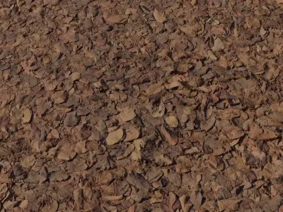 Realistic Dry Leaves Forest Ground Texture