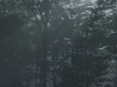 Forest Road With all the assets 3D model