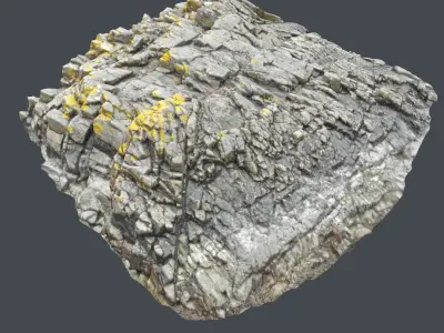 3d scanned rock cliff V 3D model
