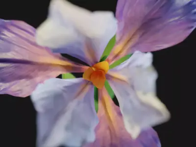 Animated Low Poly Iris Flower Low-poly 3D model