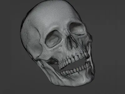 Human Skull Full Printable and Nanite Ready PBR 4K 3D print model