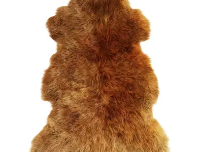 Sheepskin New Zealand 3D model