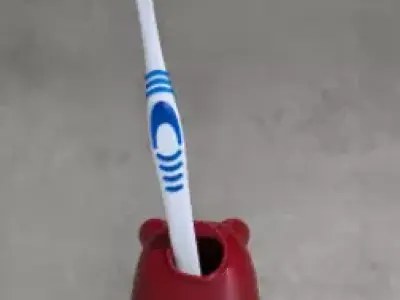 Bear Toothbrush Holder 3d printable stl 3D print model