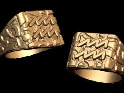 Aquarius Horoscope Zodiac Nugget Ring  3D print model