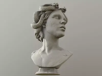 Bust of Medusa 3D model