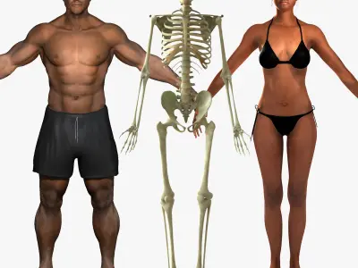 African American Female And Male With Skeleton Rigged 3D model