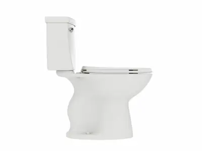 Single Flush Round Chair Height Toilet 3D model