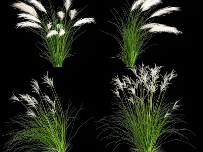 Ornamental Bushes For Landscape Design 1131 3D model