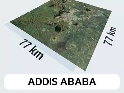 Addis Ababa Ethiopia City Landscape 3D Model 3D model